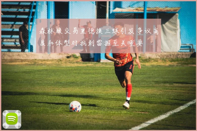 森林狼交易里德换三球引发争议高度和体型对抗刺雷掘至关重要