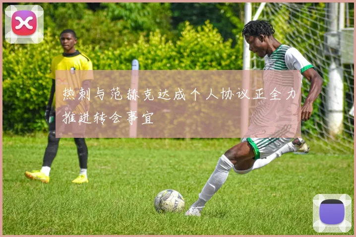 热刺与范赫克达成个人协议正全力推进转会事宜